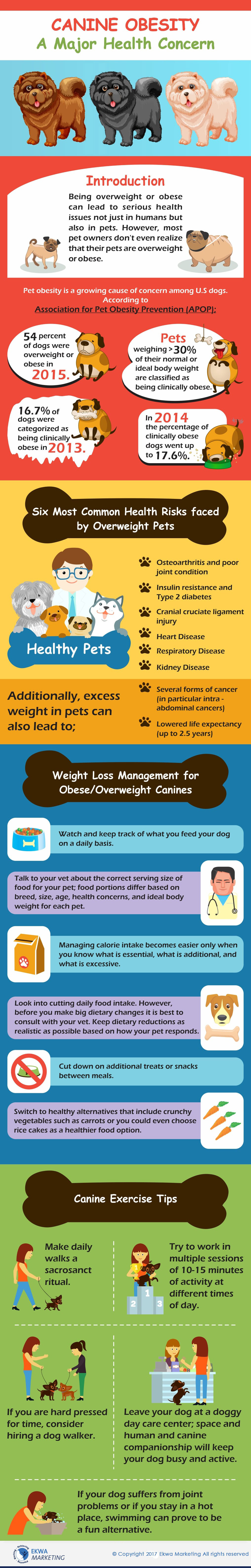 Veterinary Info Graphics, Canine Obesity A Major Health Concern