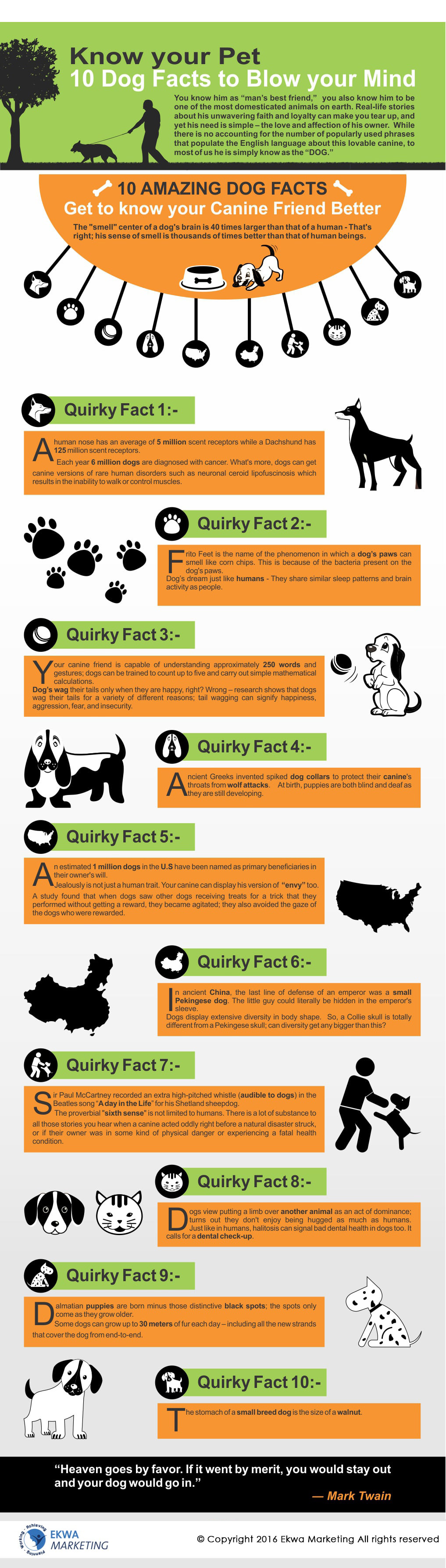 Veterinary Info Graphics, 10 Dog Facts to Blow your Mind