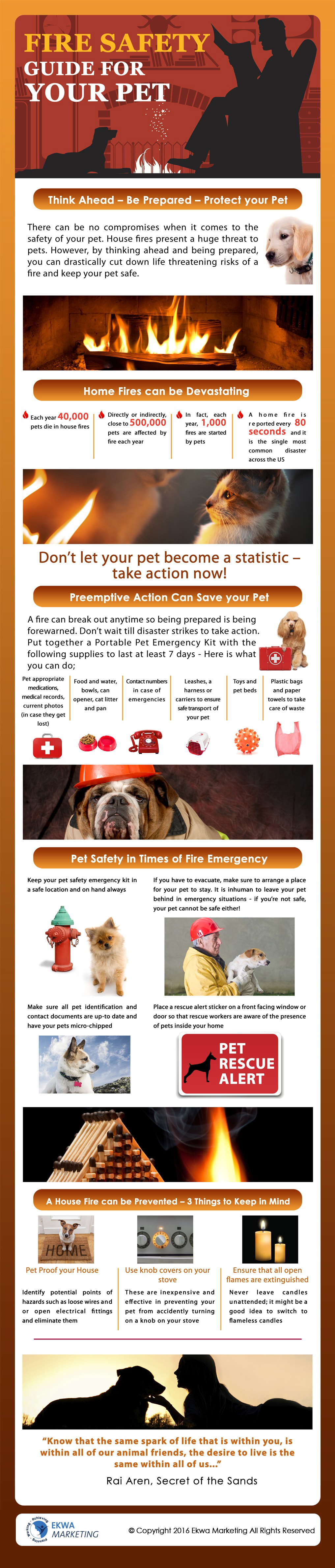 Veterinary Info Graphics, Fire safety guide for your pet