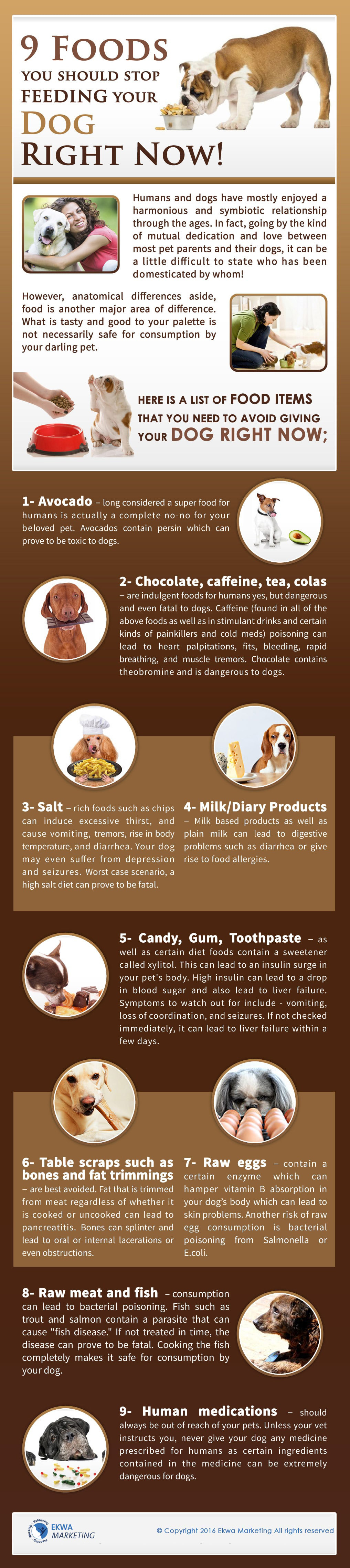 Veterinary Info Graphics, 9 foods you should stop feeding your dog now
